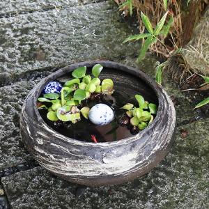 黒はけ目水鉢　信楽焼　金魚鉢、メダカ鉢にお勧め　陶器　めだか鉢　スイレン鉢　［su-0272］