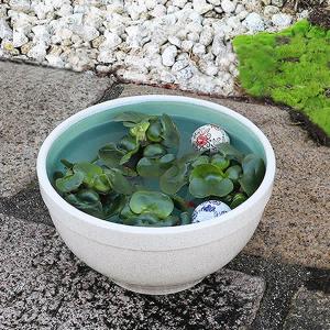 11号白カスミ水鉢 信楽焼 金魚鉢、メダカ鉢にお...の商品画像