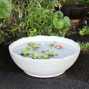 19号チタン釉浅型水鉢 信楽焼 金魚鉢、メダカ鉢...の商品画像