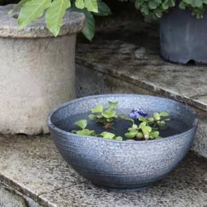 信楽焼 14号青窯肌変形水鉢 su-0285の商品画像