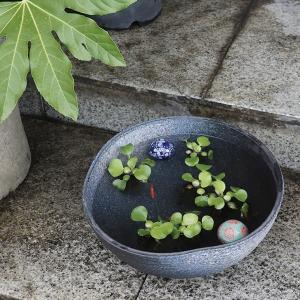 信楽焼 14号青窯肌変形水鉢 su-0285の詳細画像2