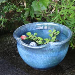 信楽焼 17号青ビードロ片口水鉢 su-0284