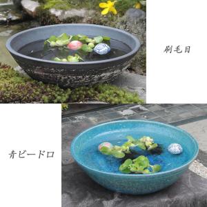魚好きがこだわったメダカ鉢！信楽焼 メダカ鉢 おしゃれ 水鉢 睡蓮鉢 陶器 めだか 鉢 金魚鉢 青 メダカ ビオトープ ハス鉢 水連鉢 手水鉢 水槽 15号水鉢 su-0291