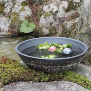 魚好きがこだわったメダカ鉢!信楽焼 メダカ鉢 ...の詳細画像2