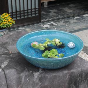魚好きがこだわったメダカ鉢!信楽焼 メダカ鉢 ...の詳細画像4
