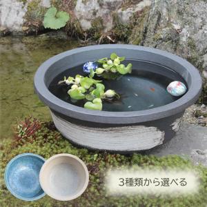 魚好きがこだわったメダカ鉢!すいれん鉢 信楽焼...の詳細画像1