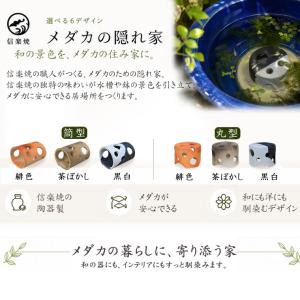 信楽焼 めだかの隠れ家 陶器 選べる6種類 め...の詳細画像2