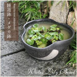 12号黄釉ハケメ三方曲げ水鉢 信楽焼 金魚鉢、...の詳細画像1