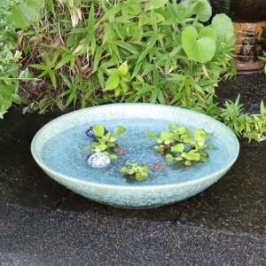 18号緑古信楽浅型水鉢　信楽焼　金魚鉢、メダカ鉢にお勧め［su-0186］