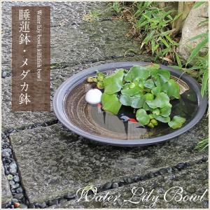 15号黒ハケメ浅型水鉢　信楽焼　金魚鉢、メダカ鉢にお勧め［su-0187］