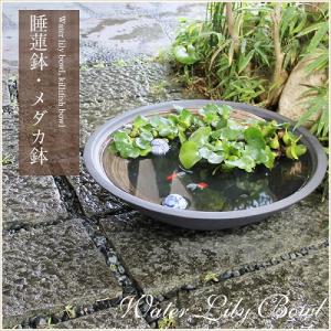 20号黒ハケメ浅型水鉢　信楽焼　金魚鉢、メダカ鉢にお勧め［su-0189］