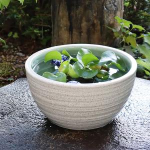 10号白カスミ水鉢　信楽焼　金魚鉢、メダカ鉢にお勧め　陶器スイレン鉢　手水鉢　めだか鉢［su-0138］