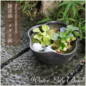 10号黄釉ハケメ花型水鉢　信楽焼　金魚鉢、メダカ鉢にお勧め［su-0150］