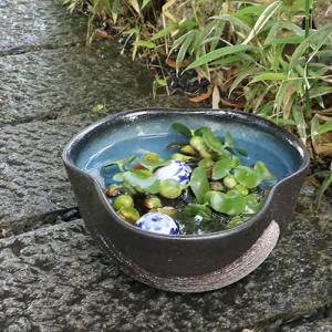 10号青釉ハケメ三方曲げ水鉢 信楽焼 金魚鉢、...の詳細画像1
