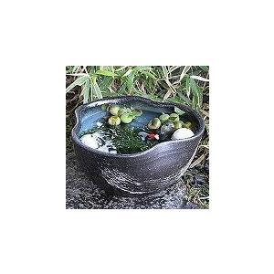 10号青釉ハケメ三方曲げ水鉢 信楽焼 金魚鉢、...の詳細画像2