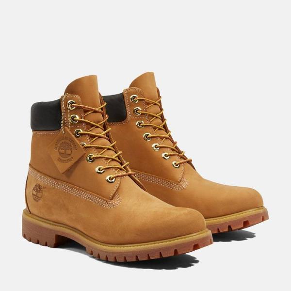 Timberland C/O M 6-INCH PREMIUM WATERPROOF BOOT WH...