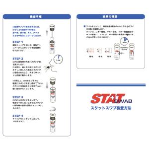 STAT-SWAB(6)(1個入り)6種の乱用...の詳細画像4