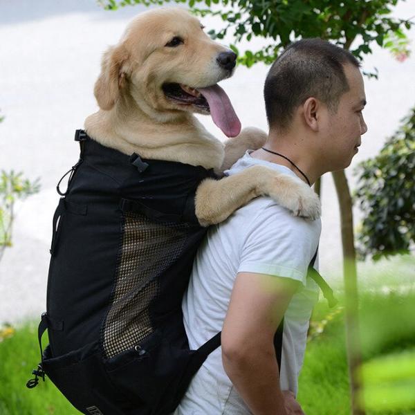 大型犬キャリアバッグペット旅行バックパックを運ぶ犬ヘッドアウト通気性ダブルショルダーバッグアウトドア...