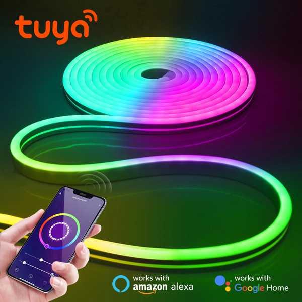 Tuya-インテリジェントLEDストリップライト12V RGB ネオンカラー 音声制御 屋外ガーデン...