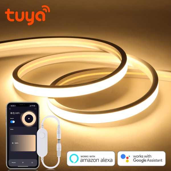 Tuya-インテリジェントLEDストリップライト TVアプリケーションと互換性があり ACから24v...