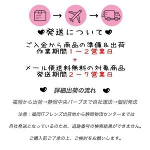 iPhone14 Pro MAX mini i...の詳細画像1