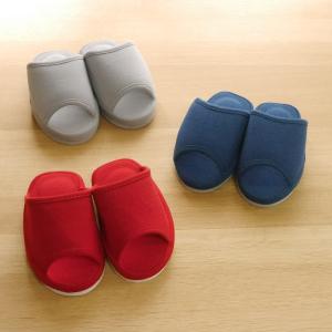 ベニクスノキタケ アントロキノノール サプリメント 紅敏風 （こうびん