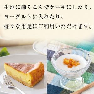 敬老の日 柚子 ピール ダイスカット ゆず ユ...の詳細画像3