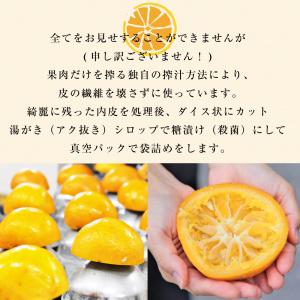 敬老の日 レモン ピール ダイスカット 檸檬 ...の詳細画像2