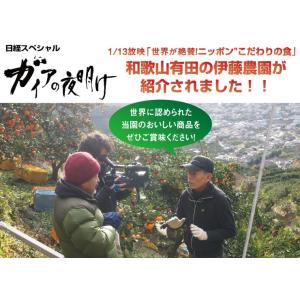 お中元 伊藤農園 オレンジピール いよかん お...の詳細画像2