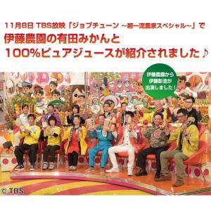 敬老の日 オレンジピール ゆず 柚子 ユズ お...の詳細画像3