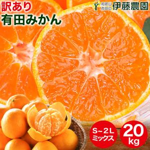 みかん 訳あり 20kg 送料無料 和歌山 自宅用 大玉 中玉 小玉 Sサイズ〜2Lサイズ 混合 箱買い ご当地 お取り寄せ 粗選別