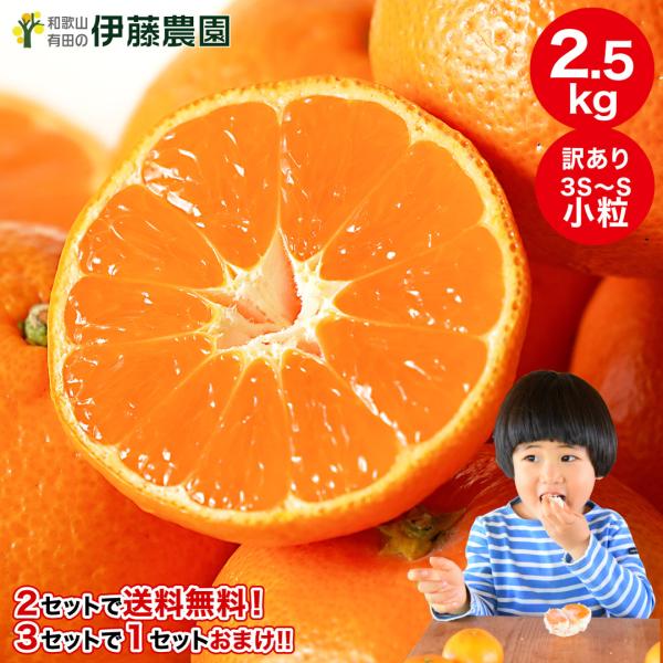 みかん 訳あり小玉 2.5kg 5kg 分買うと送料無料 3箱買うと10kg に増量 有田みかん わ...