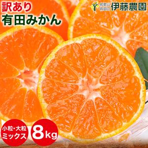 みかん 8kg 訳あり 小粒 中粒 大粒 ミックス 不ぞろい 早生 有田みかん 家庭用 ミカン 果物 フルーツ 和歌山産
