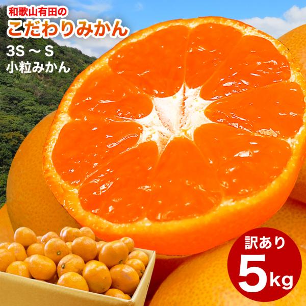 みかん 5kg 訳あり 有田みかん 温州みかん 自宅用 小玉 ミックス Sサイズ〜2Sサイズ 箱買い...