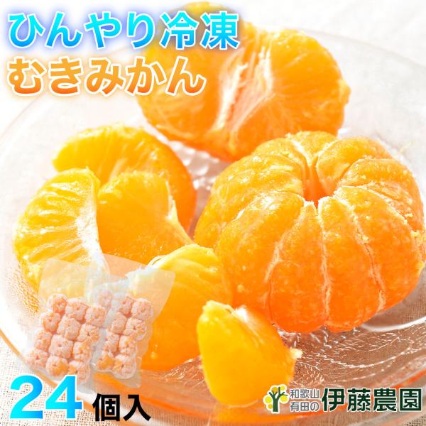 敬老の日 伊藤農園 伊藤農園 みかん 冷凍 ひんやりむきみかん 24個入セット 送料無料