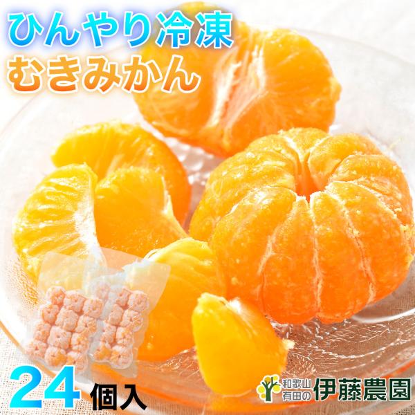 母の日ギフト 2024 伊藤農園 みかん 冷凍 ひんやりむきみかん 24個入セット 送料無料は770...