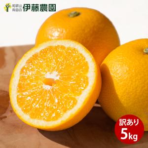 八朔 はっさく 訳あり 5kg 和歌山みかん ハッサク 旬 みかん 自宅用 送料無料 箱買い 防腐剤 不使用 北海道 沖縄 送料 770円