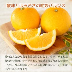 敬老の日 八朔 はっさく 訳あり 10kg 和...の詳細画像2