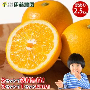 産地直送！和歌山産 紅八朔（紅はっさく）Mサイズ 約2kg 5〜6個 : koji