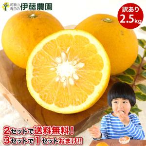 お中元 甘夏 あまなつ 訳あり 2.5kg 2箱...の商品画像