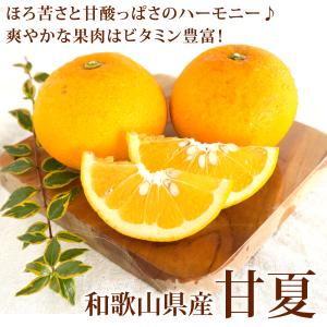 お中元 甘夏 あまなつ 訳あり 2.5kg 2...の詳細画像1