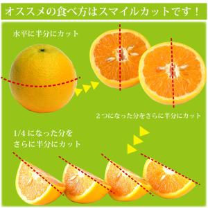 お中元 フルーツ バレンシアオレンジ 10kg...の詳細画像5