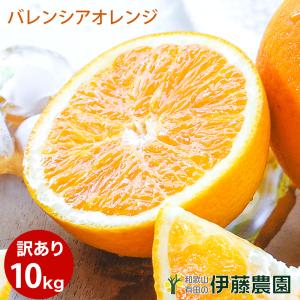 お中元 バレンシアオレンジ 訳あり 10kg 和歌山産 オレンジ 旬 みかん 自宅用 送料無料 箱詰め 箱買い