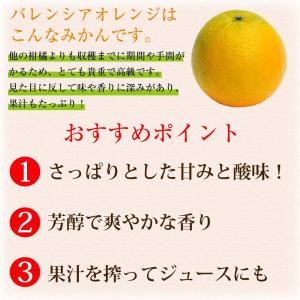 お中元 バレンシアオレンジ 訳あり 10kg ...の詳細画像3
