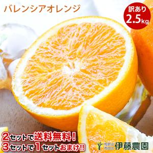 お中元 バレンシアオレンジ 和歌山産 訳あり 2.5kg オレンジ みかん 自宅用 フルーツ