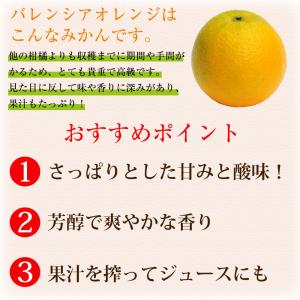 お中元 バレンシアオレンジ 和歌山産 訳あり ...の詳細画像2
