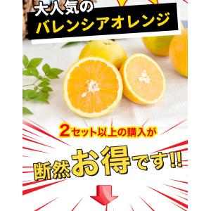 お中元 バレンシアオレンジ 和歌山産 訳あり ...の詳細画像4