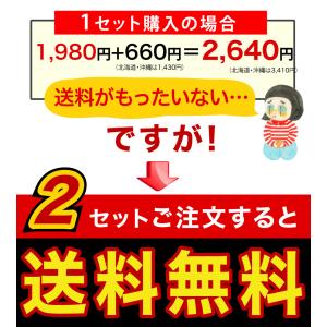 お中元 バレンシアオレンジ 和歌山産 訳あり ...の詳細画像5
