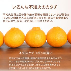 お中元 みかん 不知火 デコみかん デコポン同...の詳細画像4