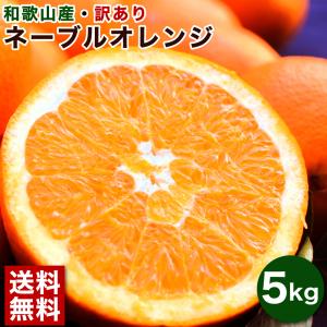 ネーブルオレンジ 訳あり 5kg 和歌山みかん 旬 みかん ねーぶる オレンジ 自宅用 送料無料 箱買い 北海道 沖縄 送料 770円｜ito-noen